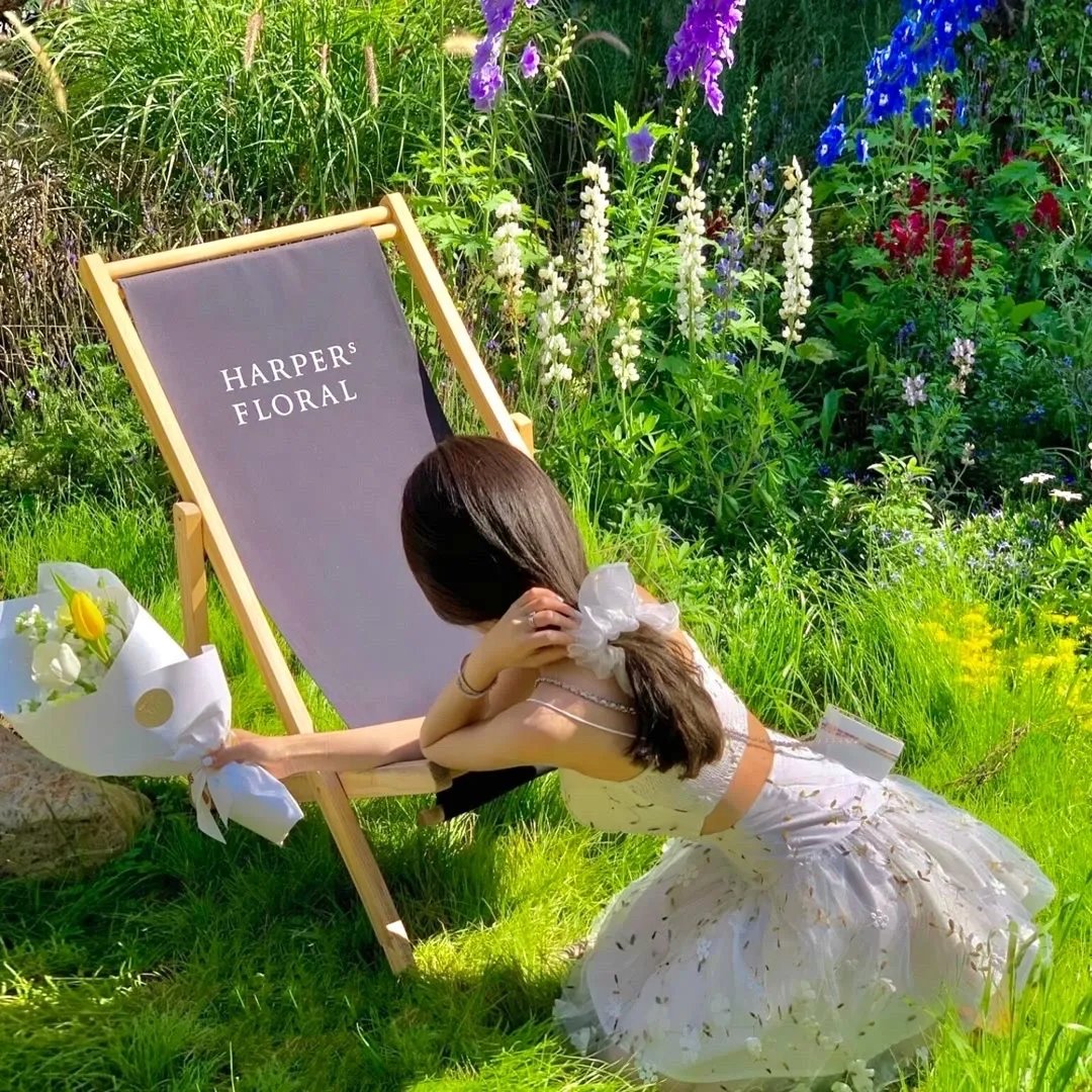 开局迎娶女战神助她称帝